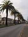 thn_Valdivia - Av. Ramon Picarte.jpg